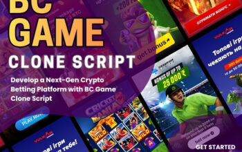 Take Your Gaming Business Online with a BC Game Cl