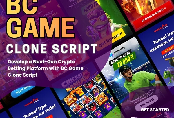 Take Your Gaming Business Online with a BC Game Cl