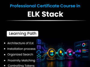 ELK Stack Online Training | Master Elasticsearch,