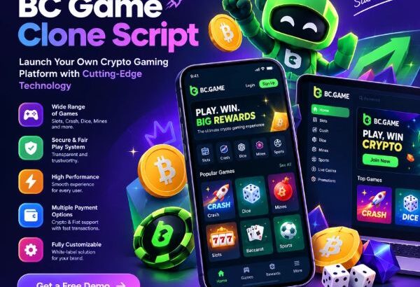 Best BC Game Clone Script for Crypto Casino